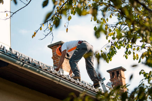 Quick and Trustworthy Emergency Roof Repair Services in Victoria, MN