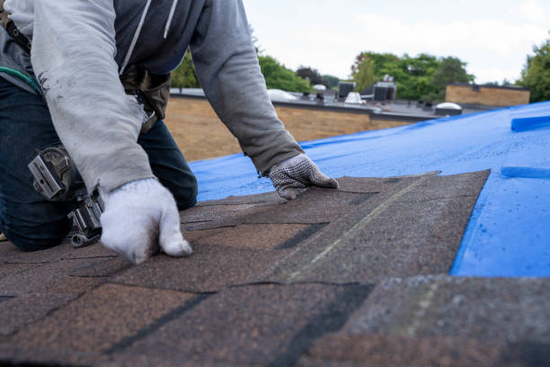 Best Flat Roof Repair Services  in Victoria, MN