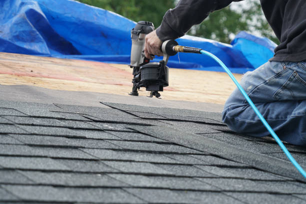 Best Flat Roof Repair Services  in Victoria, MN