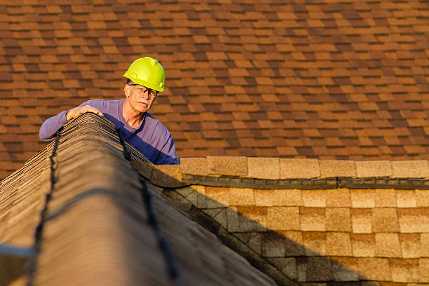 Best Roof Maintenance Services  in Victoria, MN