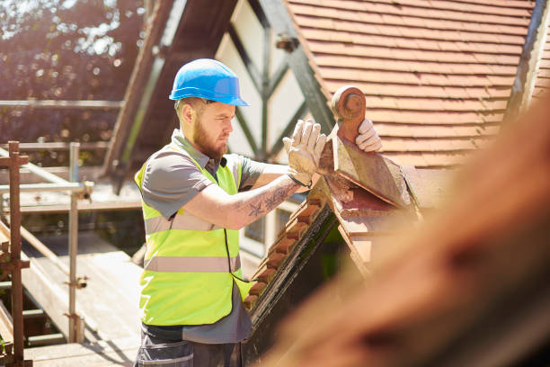 Best Roof Gutter Cleaning  in Victoria, MN